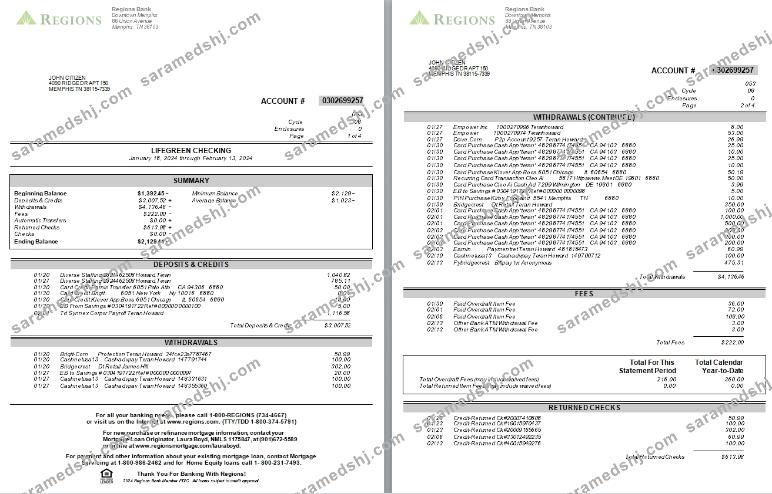 USA Tennesse Regions bank statement, 4 pages, version 2 scr
